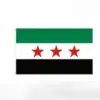 20x علم صغير سوريا الحرة مقاس 14×21 سنتمتر